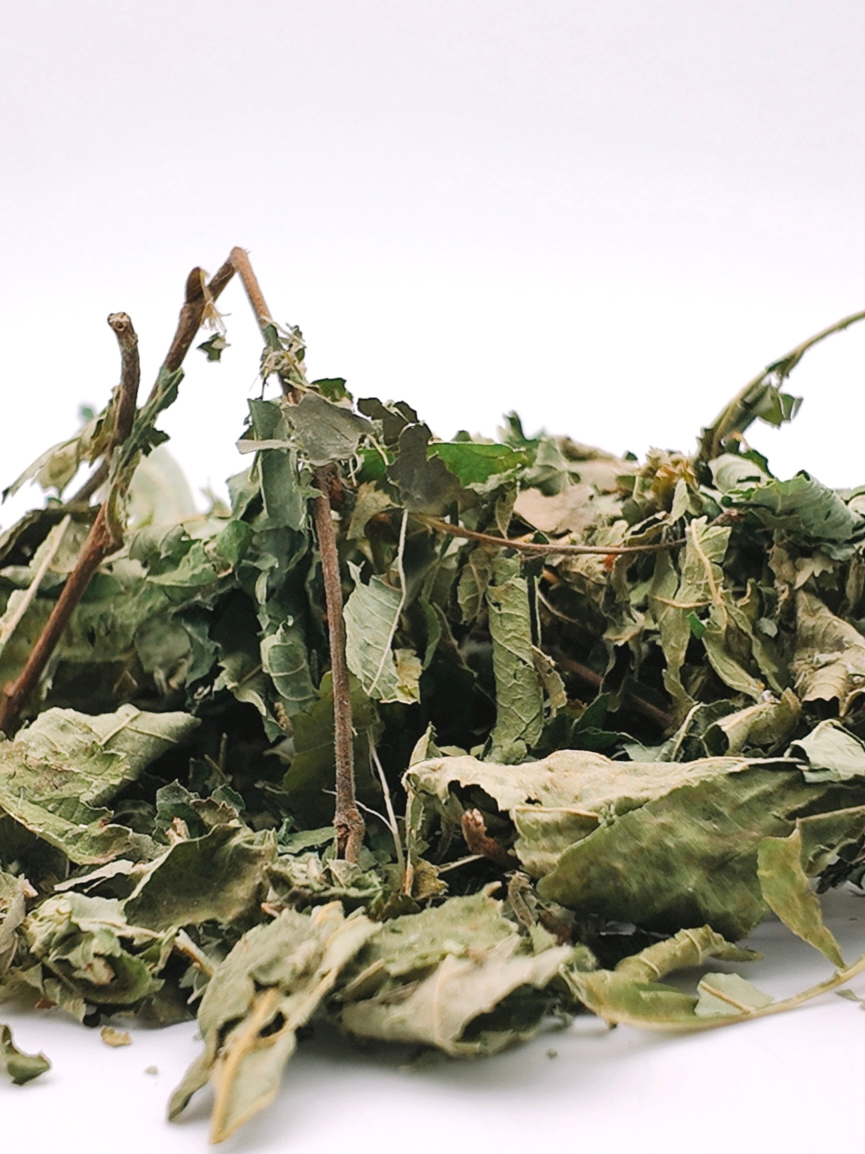 Feuilles de Noisetier 250g
