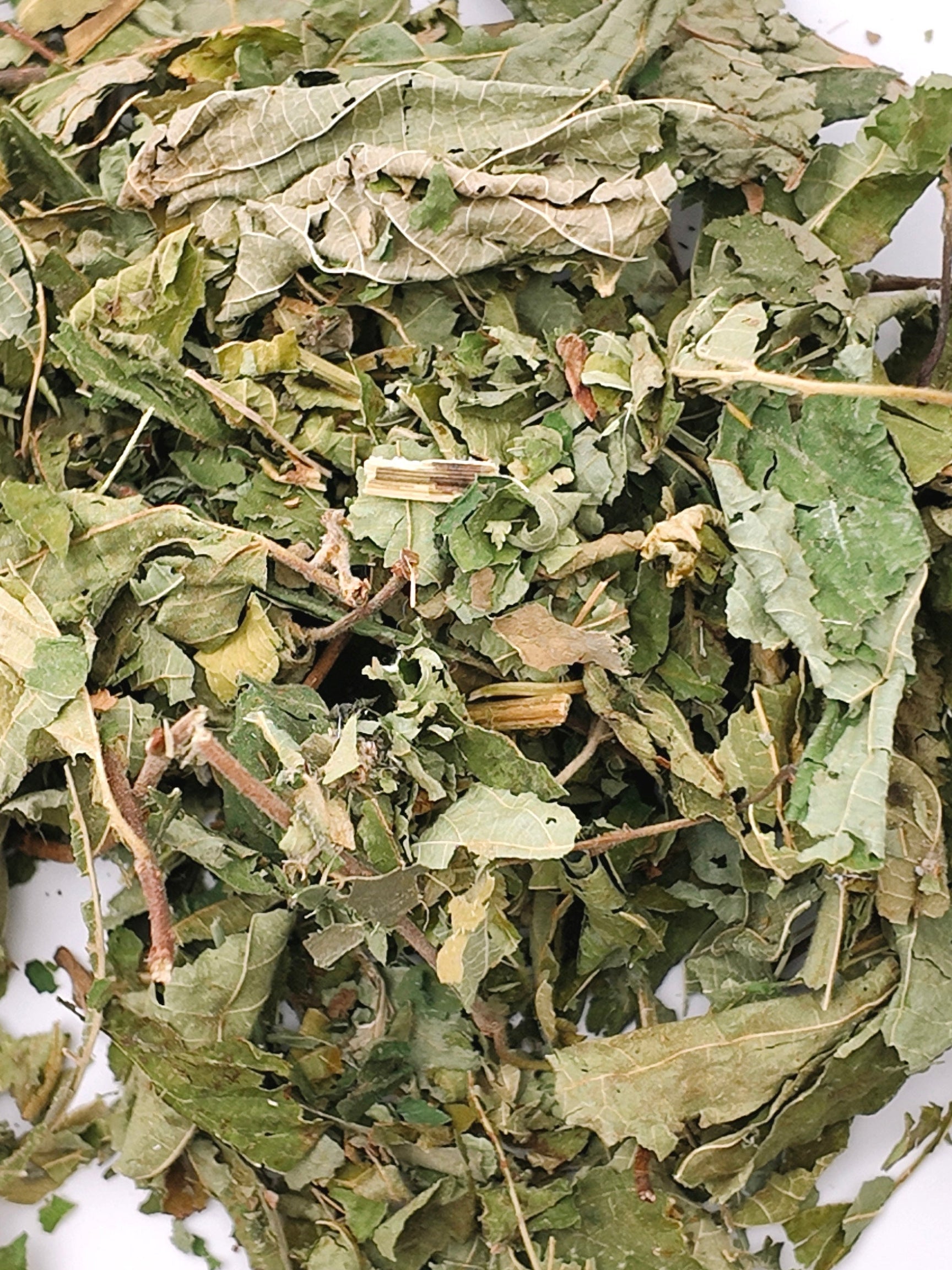 Feuilles de Noisetier 250g