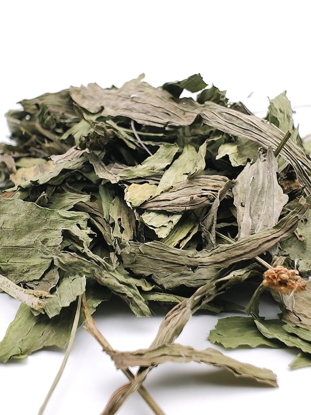 Feuilles de Plantain 250g