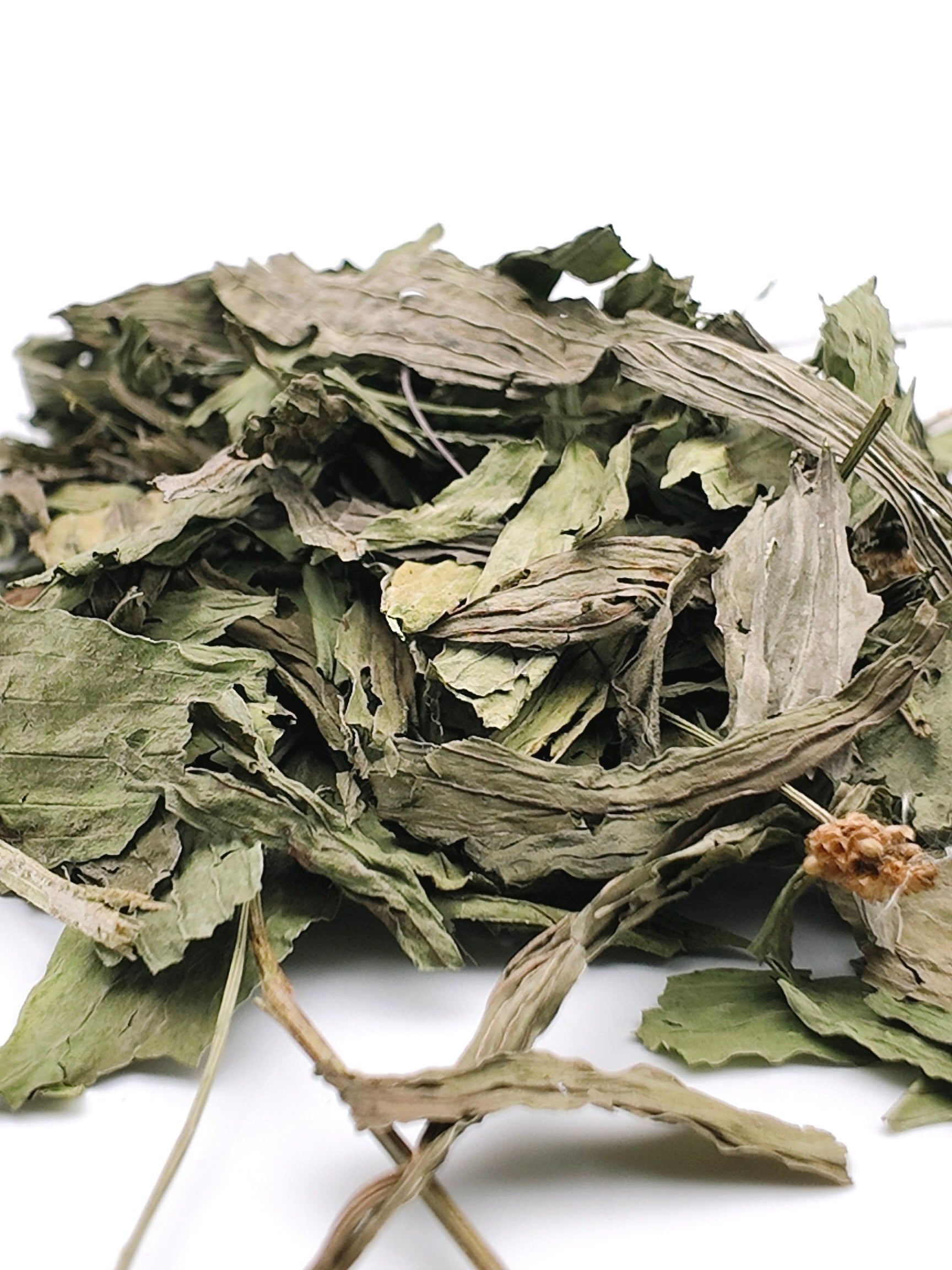 Feuilles de Plantain 250g