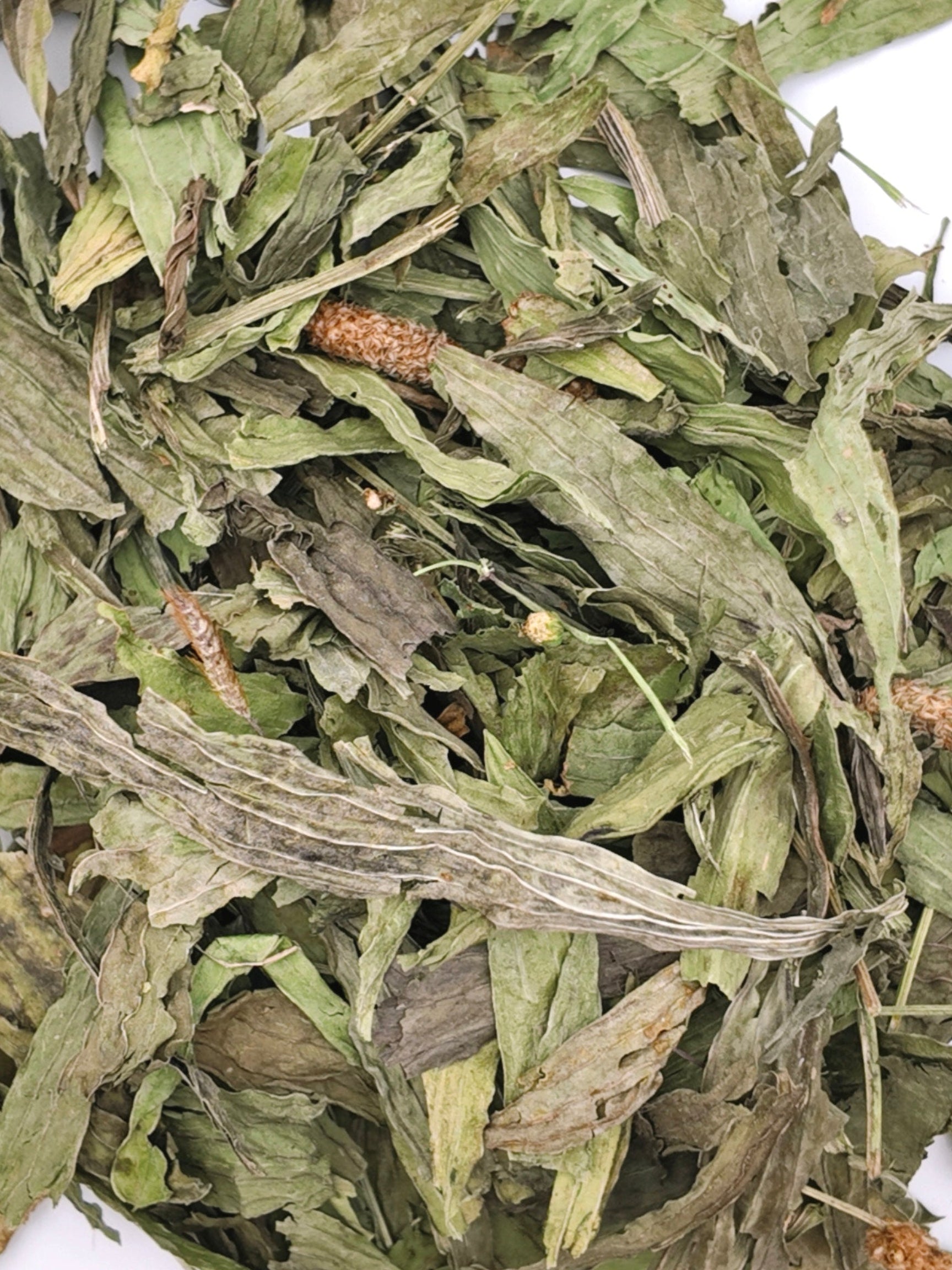 Feuilles de Plantain 250g